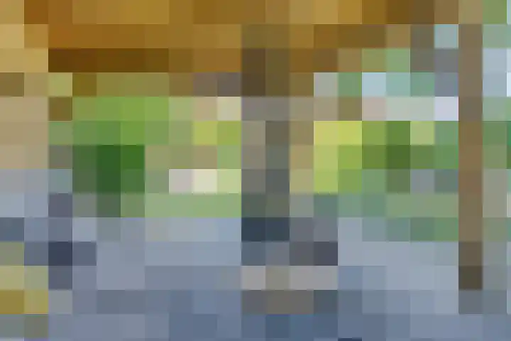 Leidijk 121 Bemmel thumbnail 36