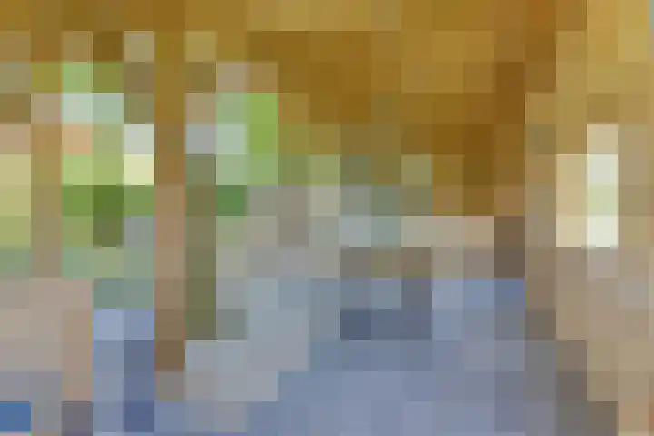 Leidijk 121 Bemmel thumbnail 37