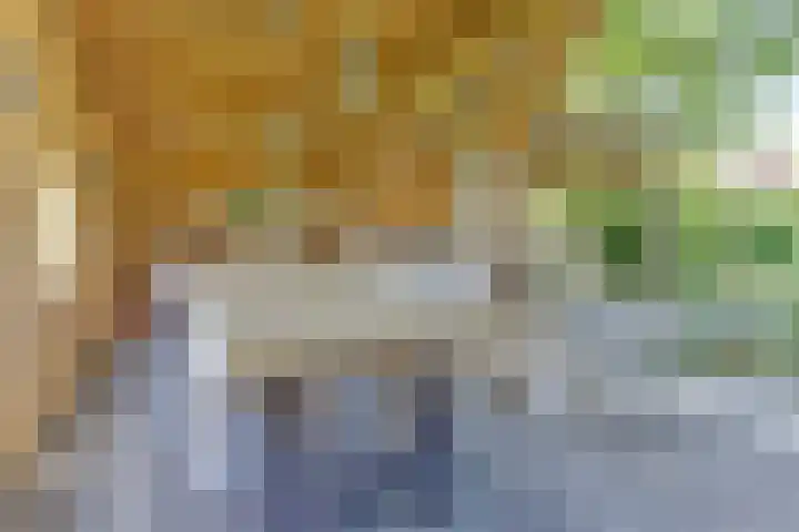 Leidijk 121 Bemmel thumbnail 38