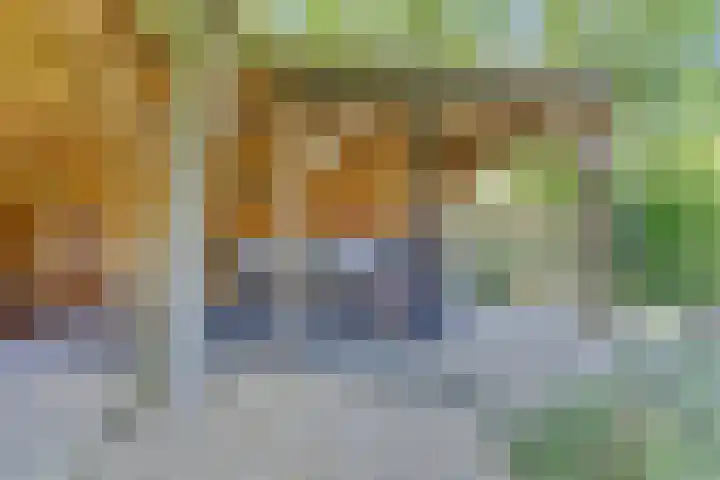 Leidijk 121 Bemmel thumbnail 39