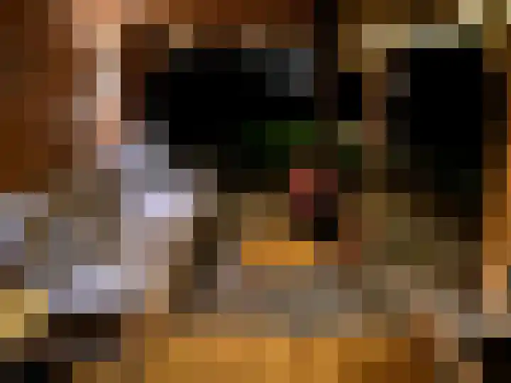 Leidijk 121 Bemmel thumbnail 41
