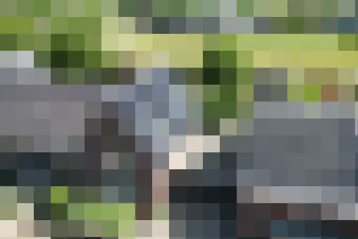Leidijk 121 Bemmel thumbnail 43