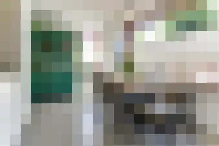 Leidijk 121 Bemmel thumbnail 8