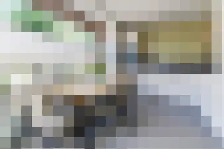 Leidijk 121 Bemmel thumbnail 9