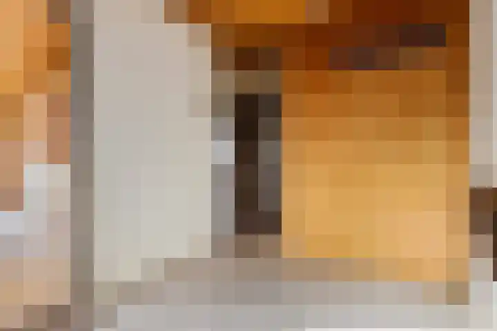 Leidijk 16 Noordwijk thumbnail 12