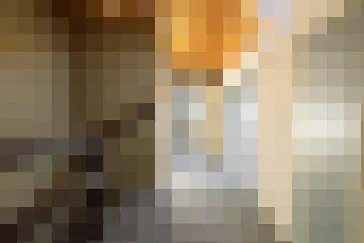 Leidijk 16 Noordwijk thumbnail 24