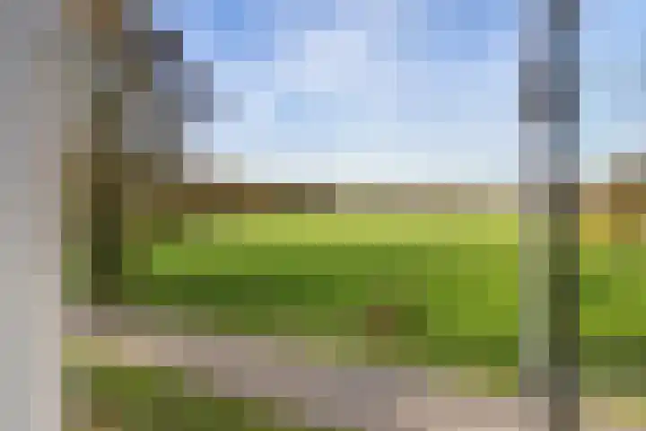 Leidijk 16 Noordwijk thumbnail 29