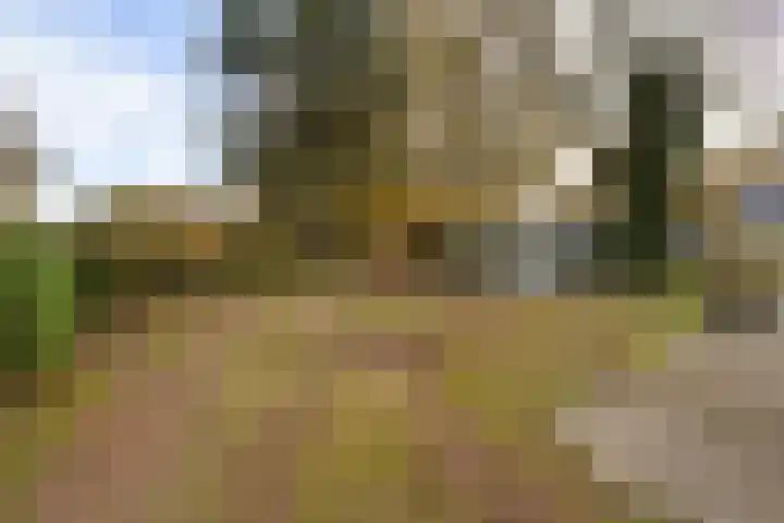 Leidijk 16 Noordwijk thumbnail 30