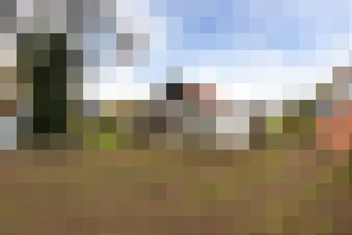 Leidijk 16 Noordwijk thumbnail 31