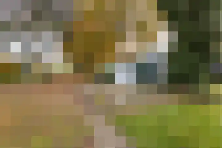Leidijk 16 Noordwijk thumbnail 33