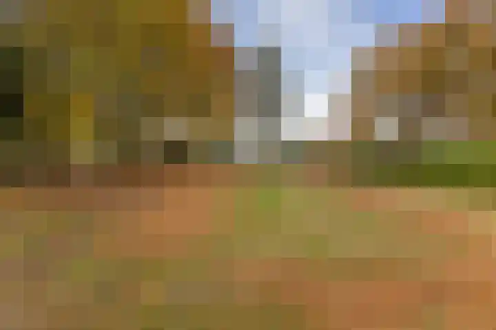 Leidijk 16 Noordwijk thumbnail 37