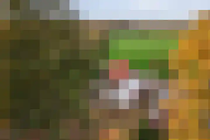 Leidijk 16 Noordwijk thumbnail 39