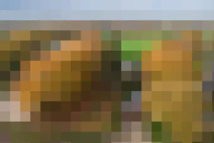 Leidijk 16 Noordwijk thumbnail 40