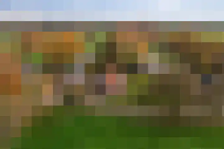 Leidijk 16 Noordwijk thumbnail 41