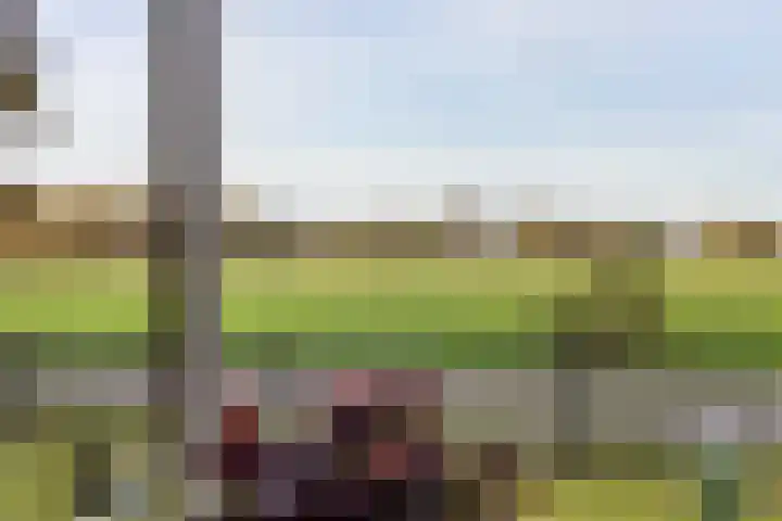 Leidijk 16 Noordwijk thumbnail 5