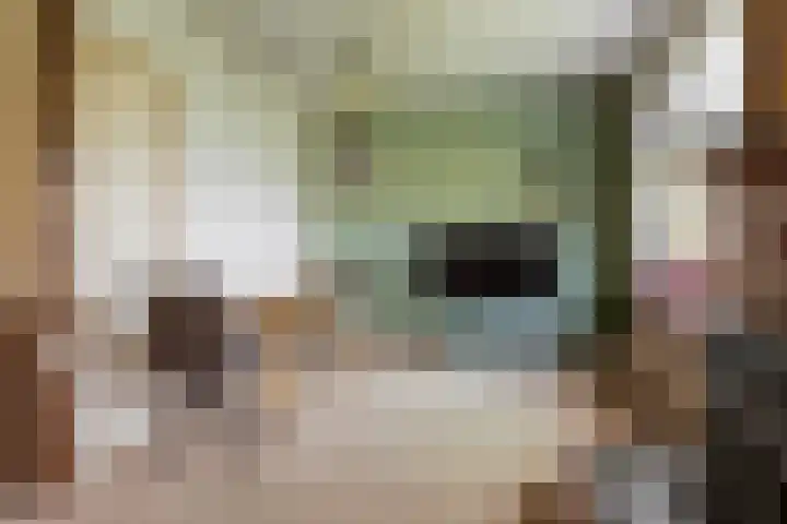 Leidijk 16 Noordwijk thumbnail 8