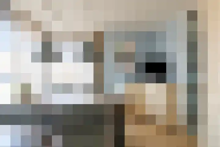 Leidijk 167 Bemmel thumbnail 13