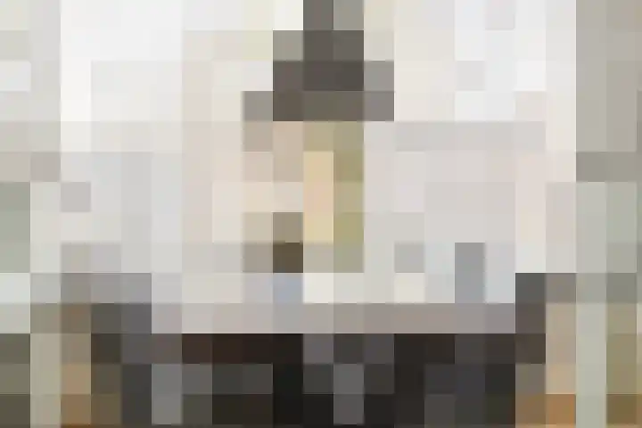 Leidijk 167 Bemmel thumbnail 15