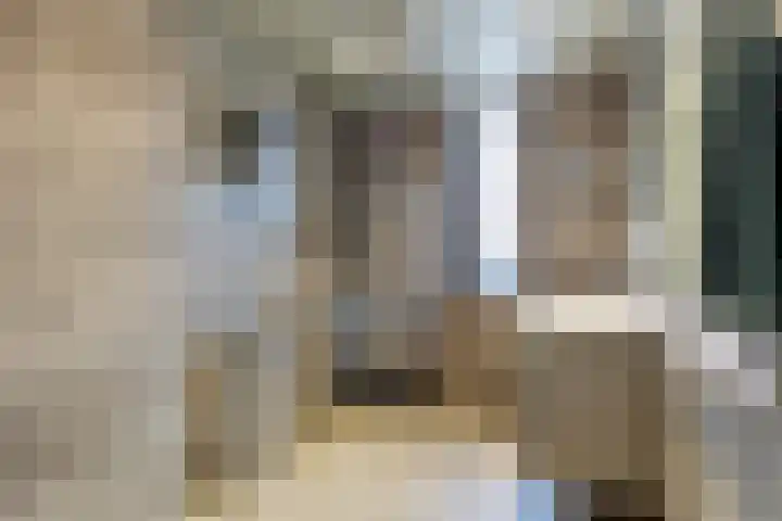 Leidijk 167 Bemmel thumbnail 33