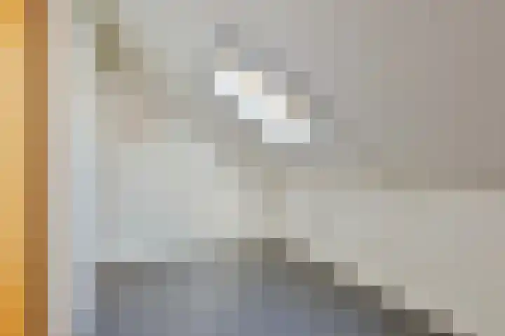Leidijk 167 Bemmel thumbnail 43