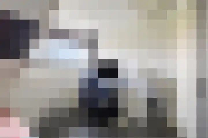 Leidijk 167 Bemmel thumbnail 45