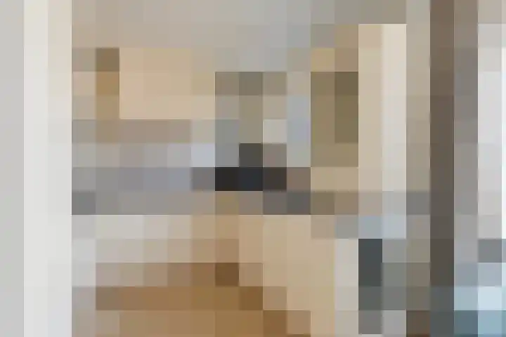 Leidijk 167 Bemmel thumbnail 9