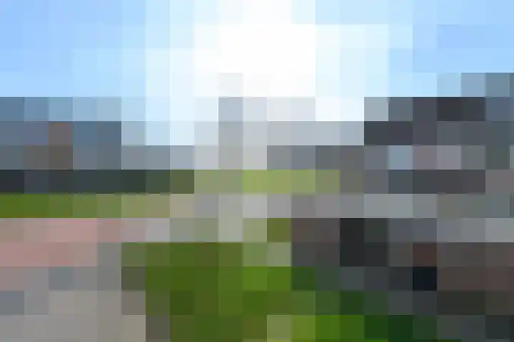 Leidijk 32 Drachten thumbnail 36
