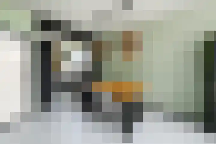 Leidijk 32 Drachten thumbnail 8
