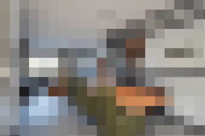 Leidsekade 42 Leidschendam thumbnail 22