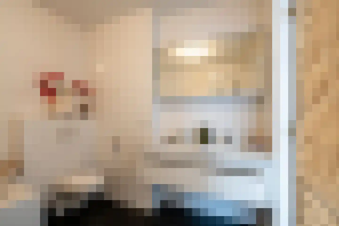 Leidsekade 59 1 Amsterdam thumbnail 18
