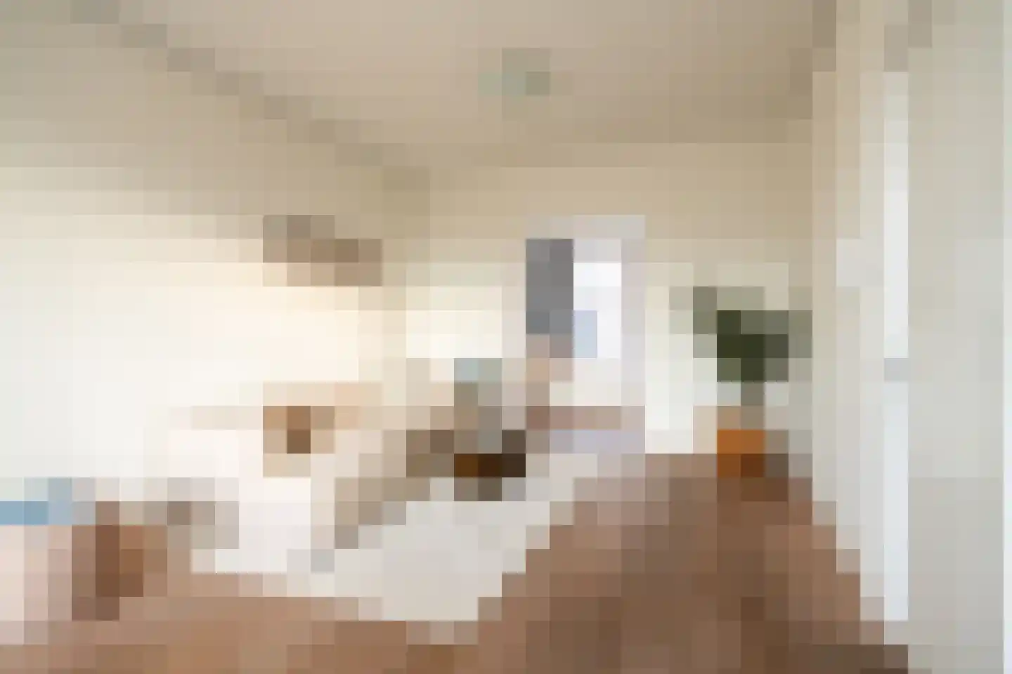 Leidsekade 59 1 Amsterdam thumbnail 9