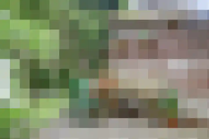 Leidsekade 93 Utrecht thumbnail 14