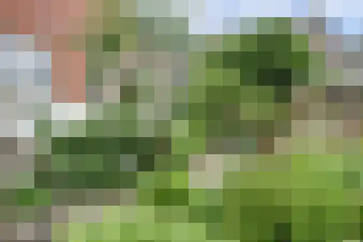 Leidsekade 93 Utrecht thumbnail 15