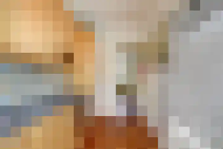 Leidsekade 93 Utrecht thumbnail 17