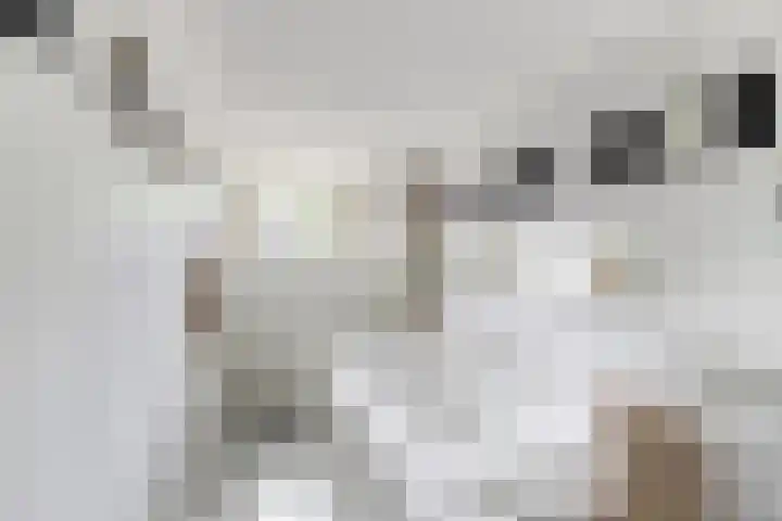 Leidsekade 93 Utrecht thumbnail 27