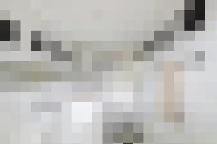 Leidsekade 93 Utrecht thumbnail 28