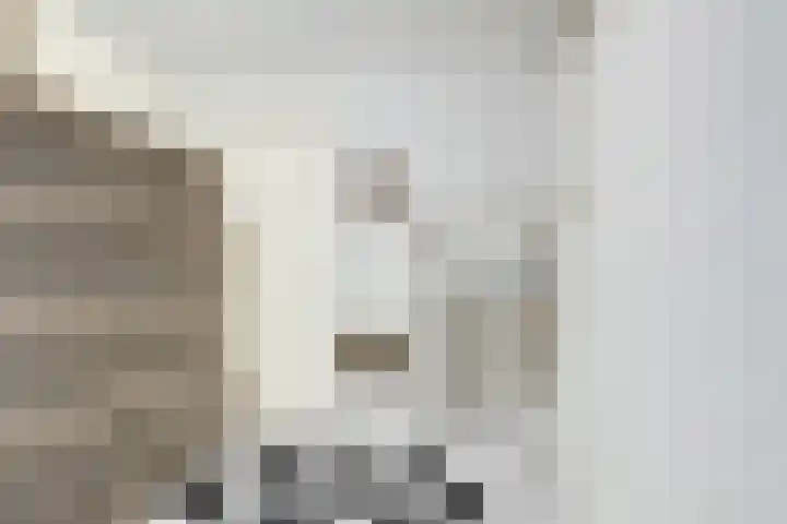 Leidsekade 93 Utrecht thumbnail 29