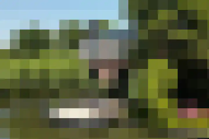 Leidsestraatweg 7 Harmelen thumbnail 32
