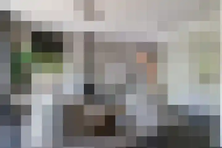 Leidsestraatweg 7 Harmelen thumbnail 5