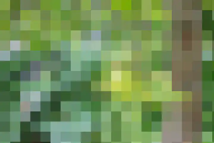 Leidsevaart 554 Haarlem thumbnail 33