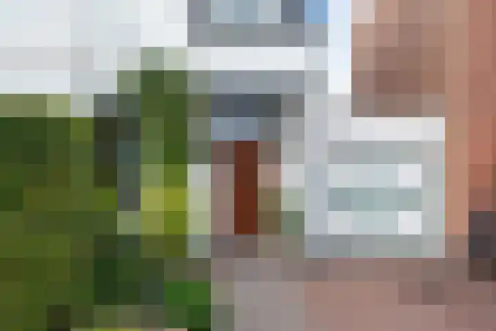 Leidsevaart 554 Haarlem thumbnail 7