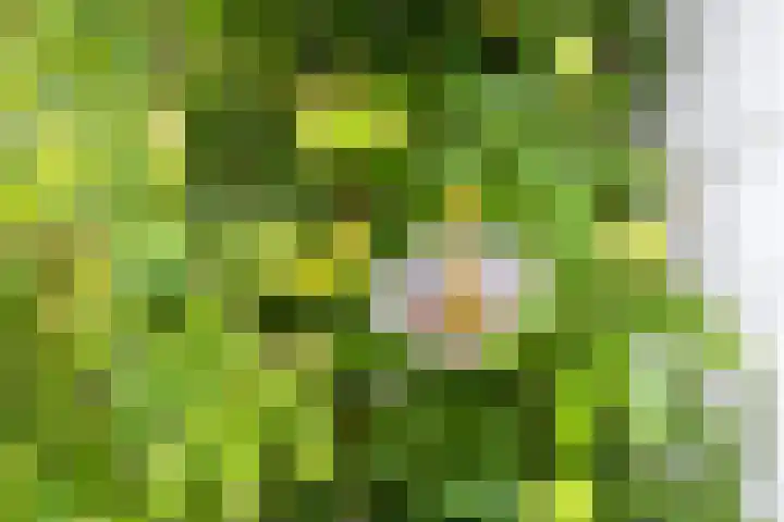 Leidsevaart 554 Haarlem thumbnail 9