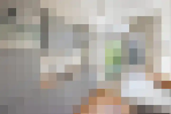 Leiduinstraat 29 2 Amsterdam thumbnail 13