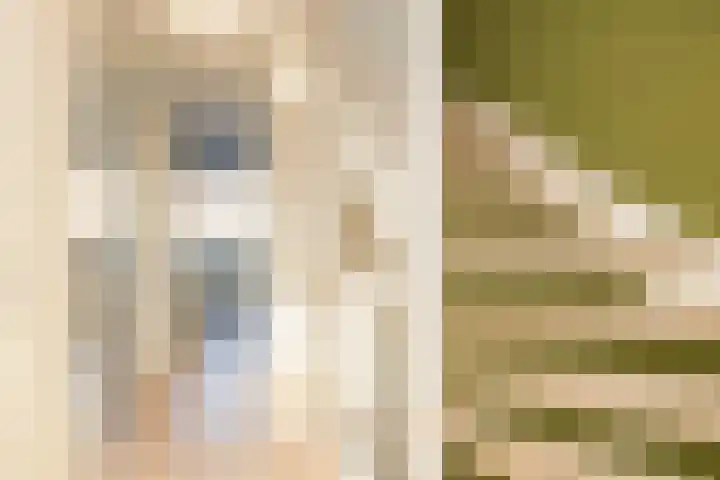 Leifruit 5 Wateringen thumbnail 17