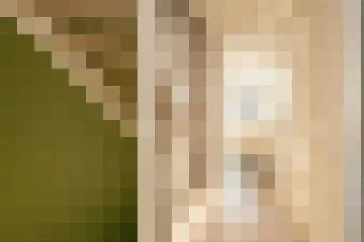 Leifruit 5 Wateringen thumbnail 18