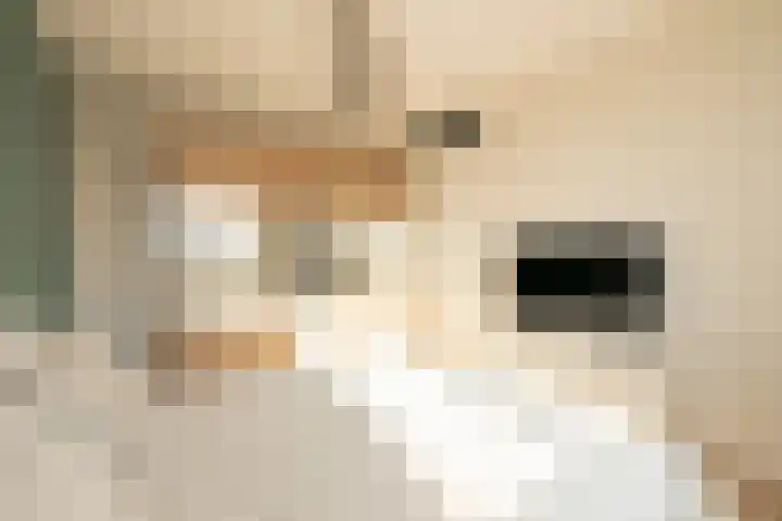 Leifruit 5 Wateringen thumbnail 26