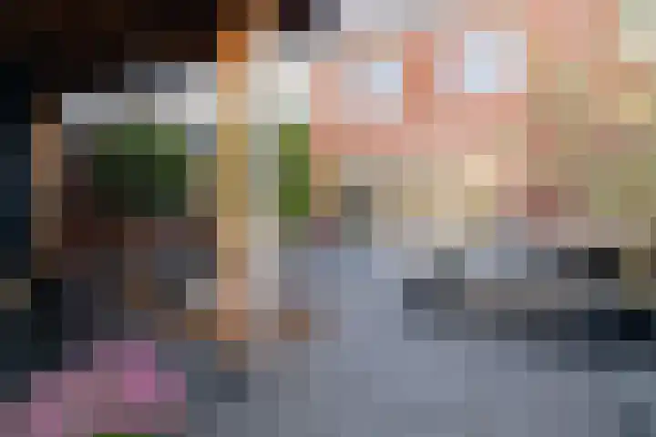 Leifruit 5 Wateringen thumbnail 36