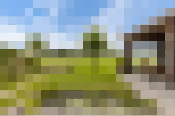 Leigraaf 14 E Klarenbeek thumbnail 18