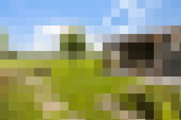 Leigraaf 14 E Klarenbeek thumbnail 19