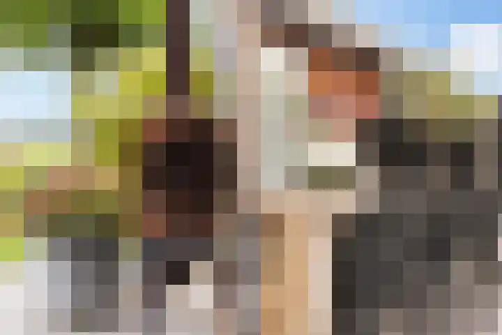 Leigraaf 14 E Klarenbeek thumbnail 24